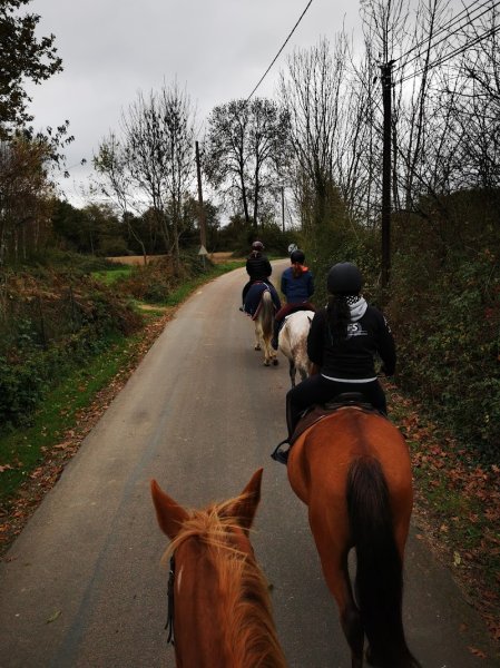MERIGAUD HORSECLUB - photo 3