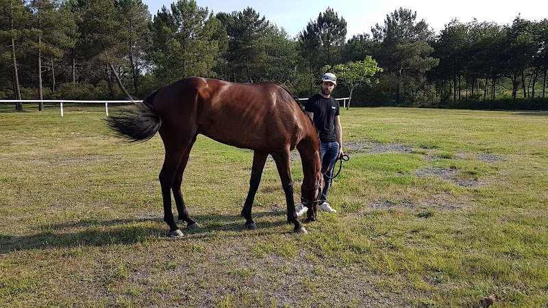 Haras Du Grand Coderc - photo 1