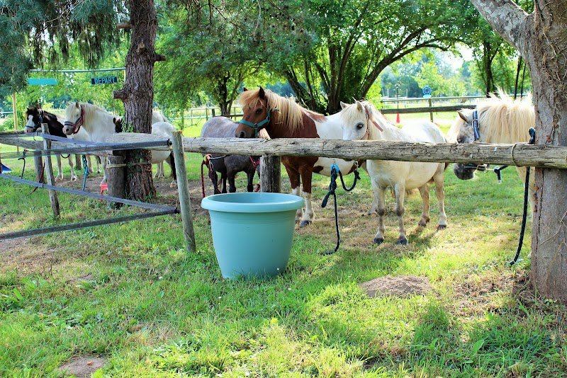 Le parc poney - photo 1