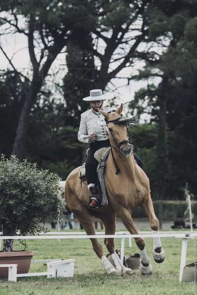 Écurie de Tavillan - photo 3
