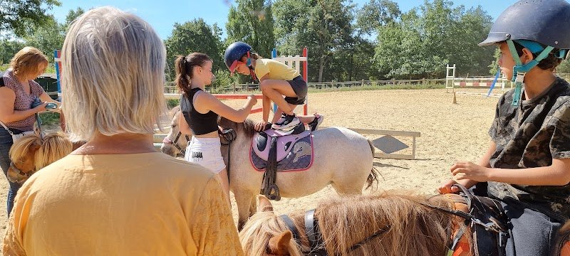 Les Gîtes Poney Club Saint Sauveur - photo 3