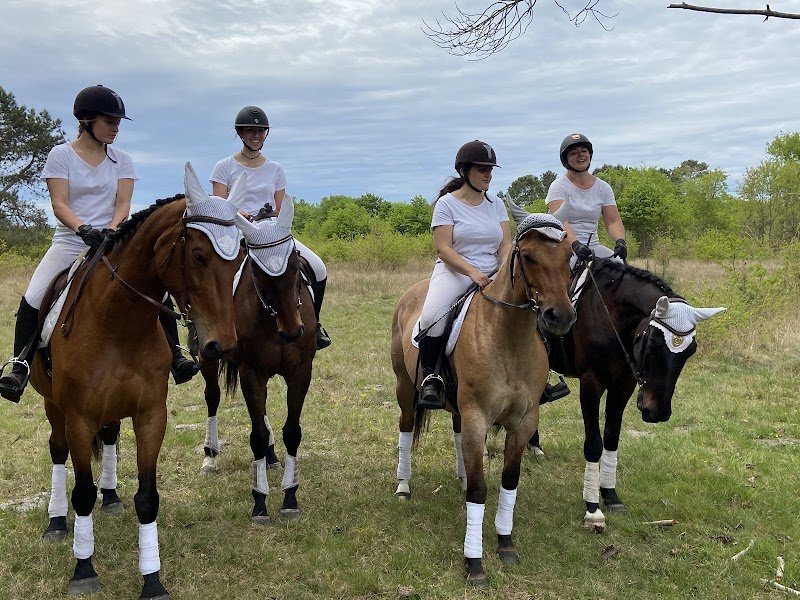 Les Écuries Equi Mamour - Grignols - photo 2