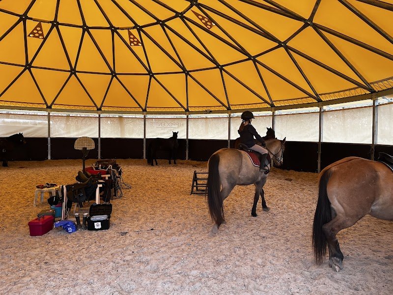 Les Écuries Equi Mamour - Grignols - photo 3