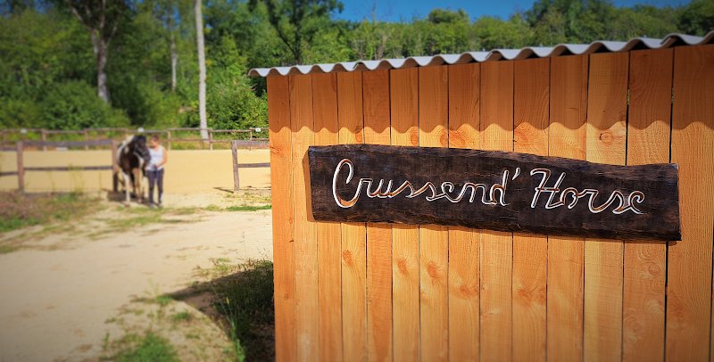 Crussend'Horse - photo 1