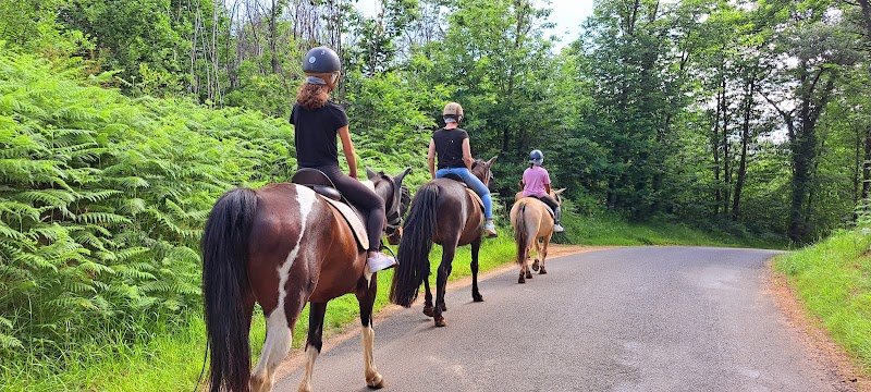 Crussend'Horse - photo 2