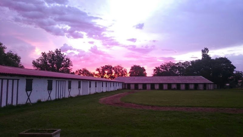 Haras Des Vitarelles