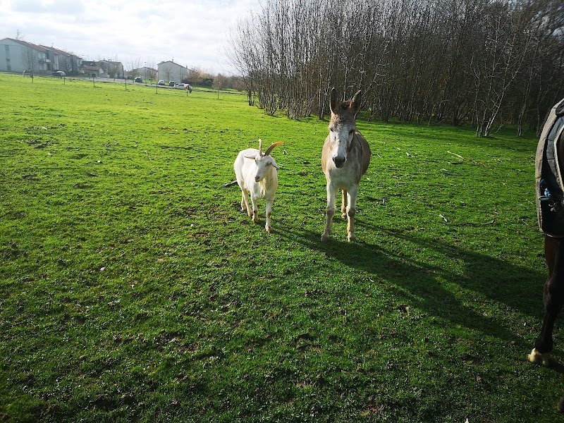 Haras Des Vitarelles - photo 2