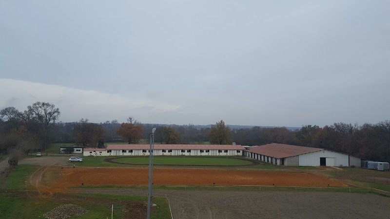 Haras Des Vitarelles - photo 3