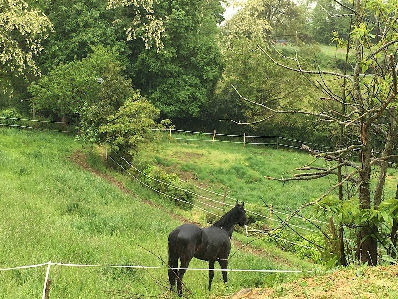 Les Ecuries d'Ethnick - photo 3