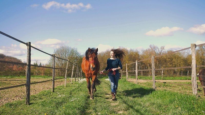 Ecuries de Saint Roch - photo 2