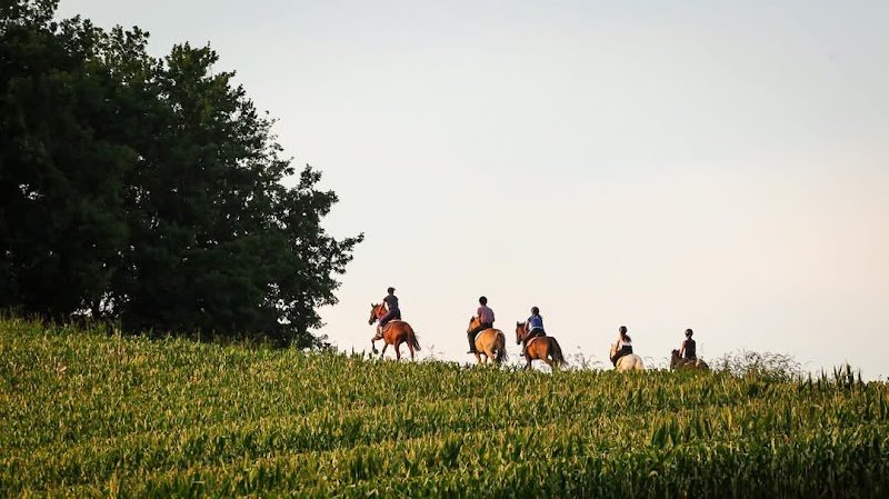 Les Ecuries de la Garenne - photo 1