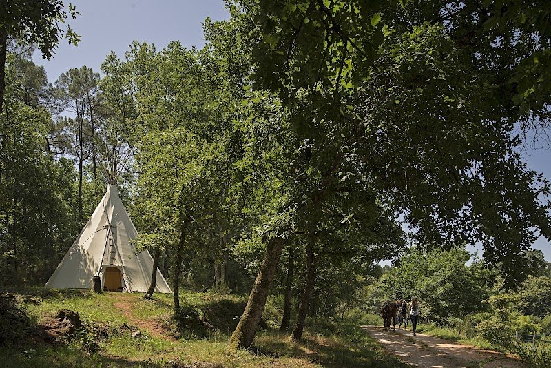 Ferme Equestre la Fontaine - photo 2