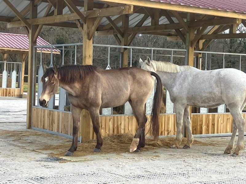Domaine de Coulomb Ecurie Active - photo 3
