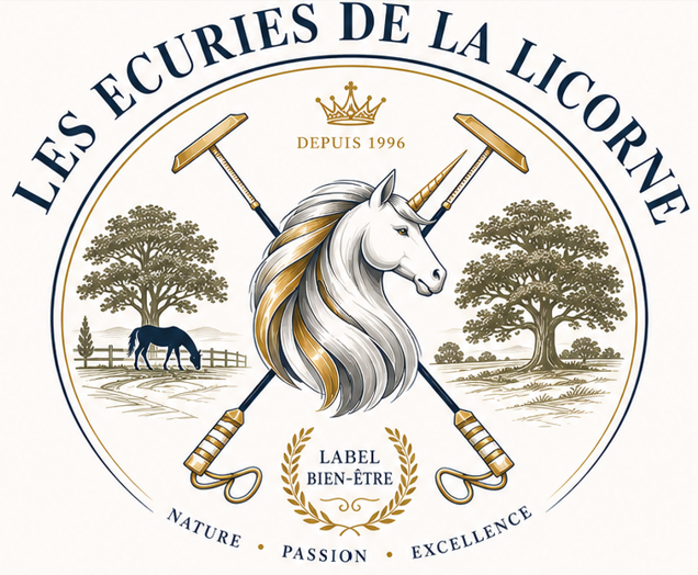 Les Ecuries De La Licorne - photo 4