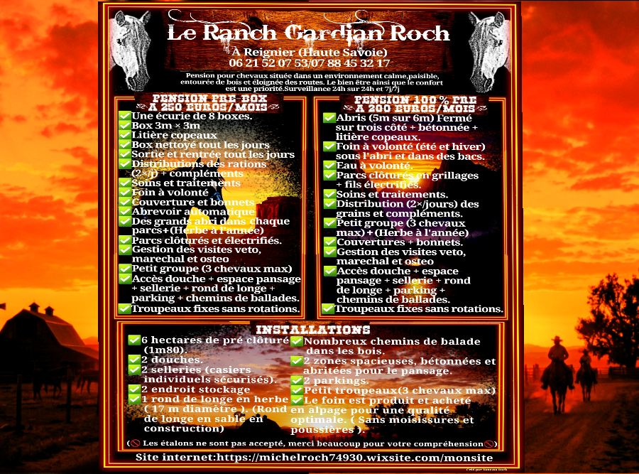 Pension pour chevaux Le Ranch Gardian Roch - photo 2