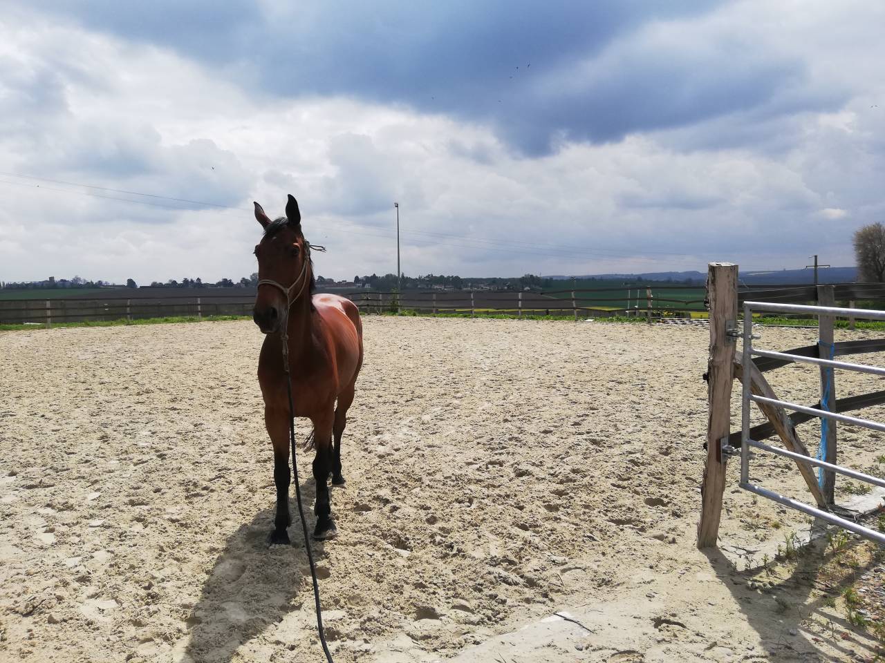 Haras des Cosmiques - photo 1