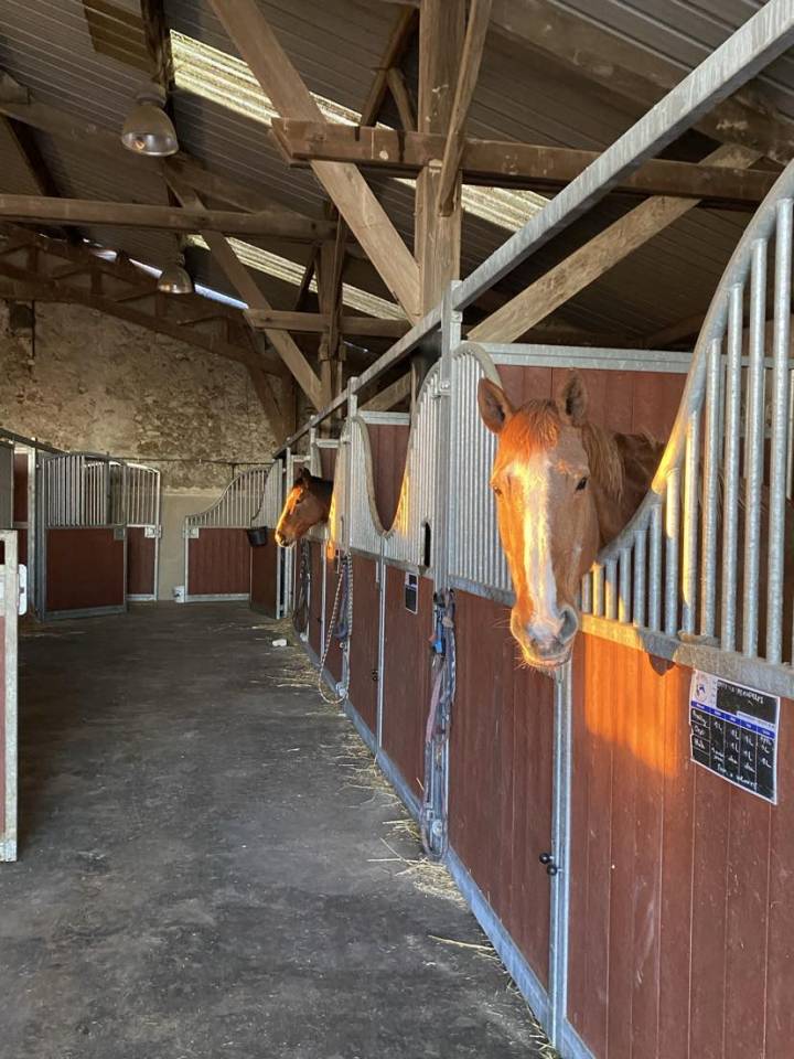 Haras des Cosmiques - photo 2