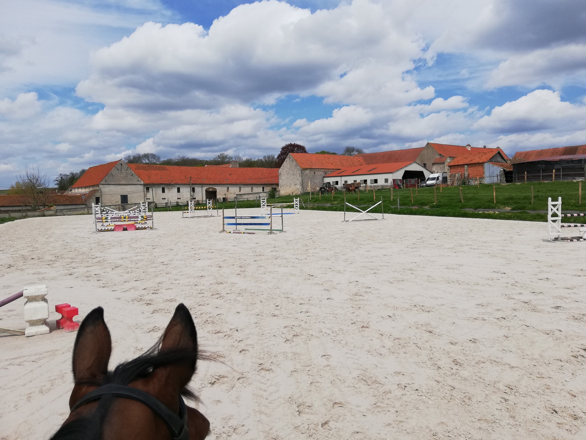 Haras des Cosmiques - photo 3
