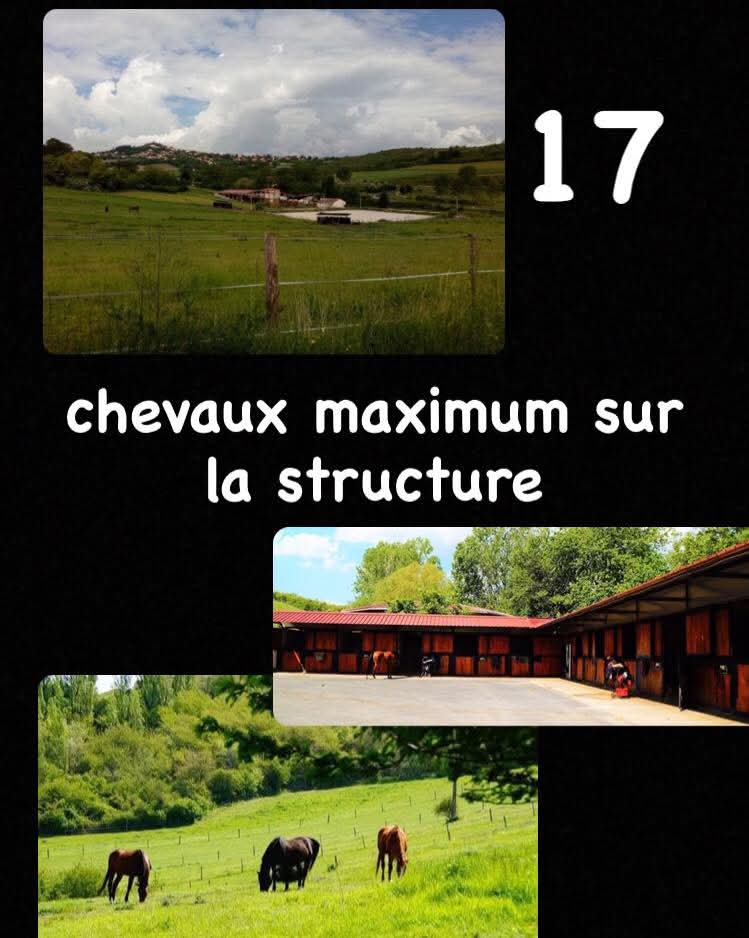 ecurie de la jonchere - photo 2