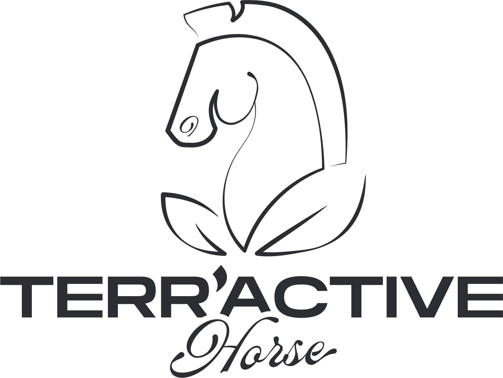 Terr'Active Horse